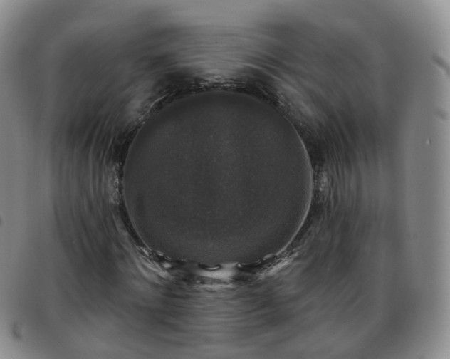 X0000097790868200803141827