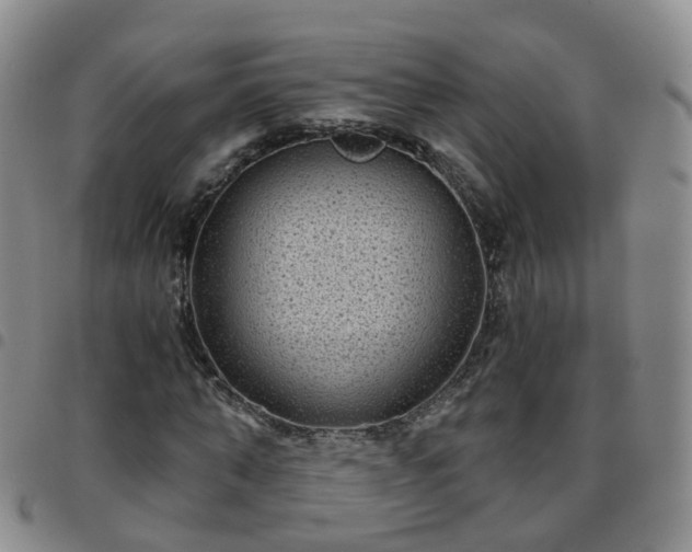 X0000097790870200803141827