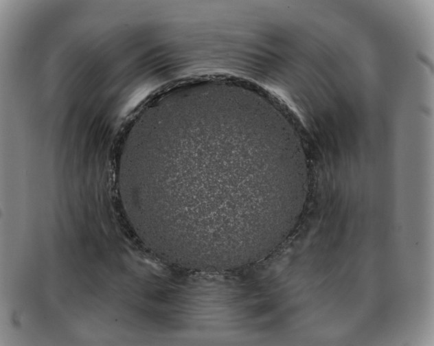 X0000097790871200803141827