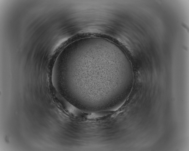 X0000097790872200803141827