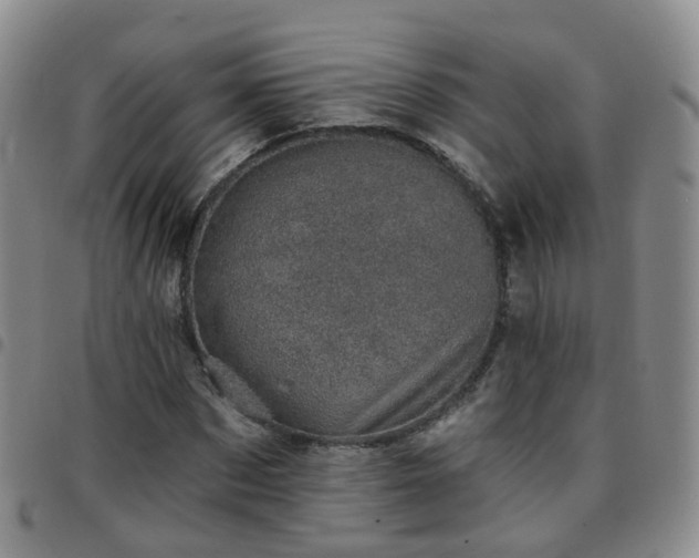 X0000097790873200803141827