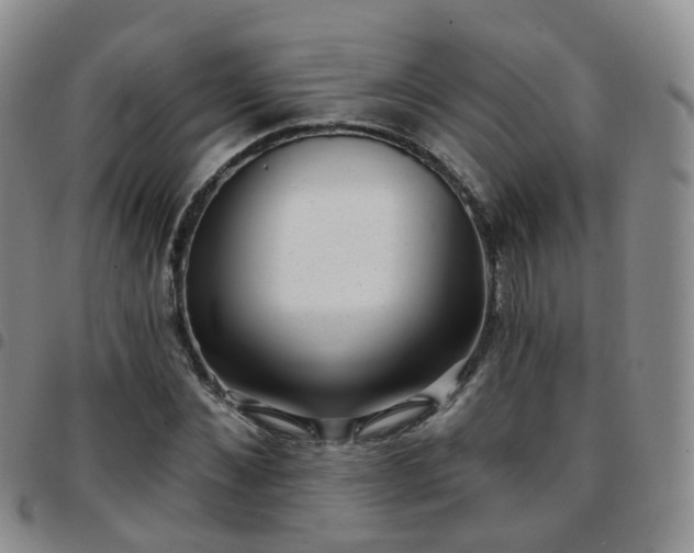 X0000097790876200803141827