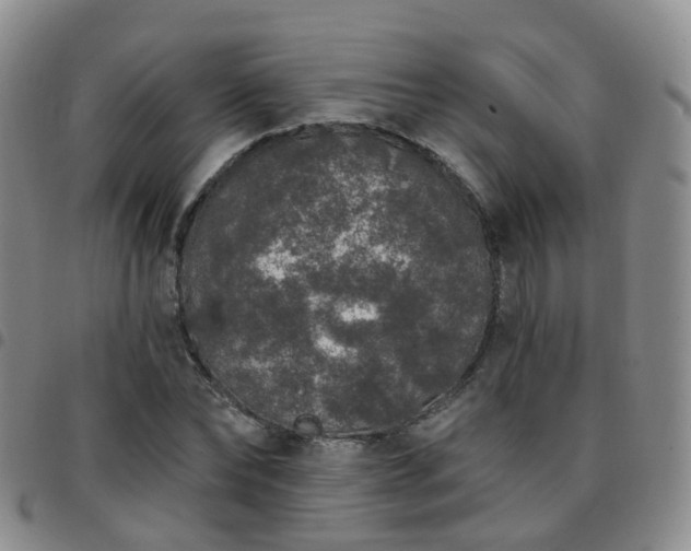 X0000097790878200803141827