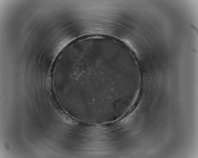 X0000097790879200803141827