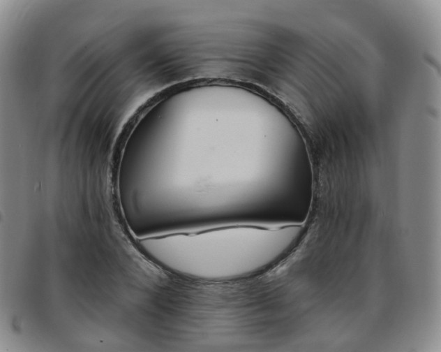 X0000097790880200803141827