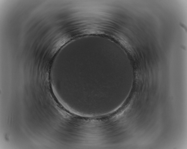 X0000097790881200803141827