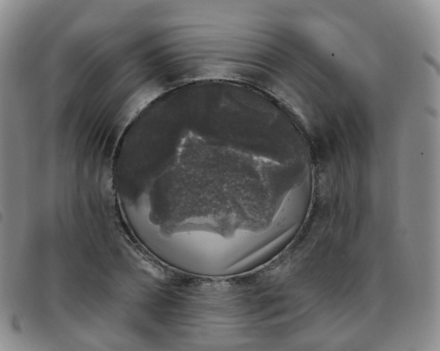 X0000097790882200803141827