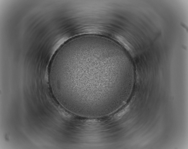 X0000097790883200803141827