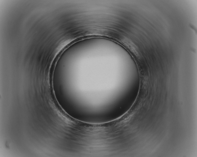 X0000097790884200803141827