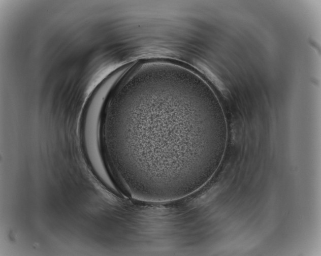 X0000097790885200803141827