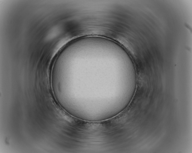 X0000097790886200803141827