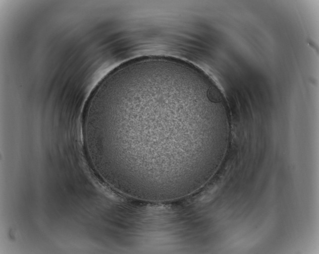 X0000097790887200803141827