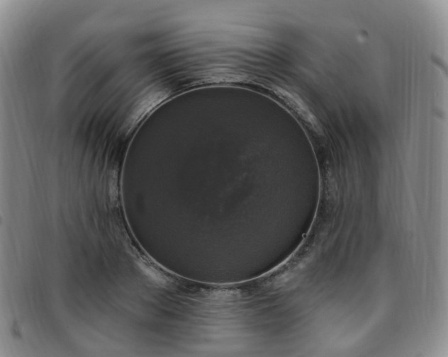 X0000097790889200803141826
