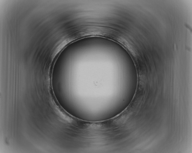 X0000097790890200803141826