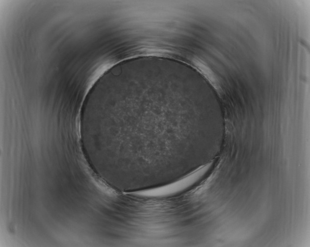 X0000097790891200803141826