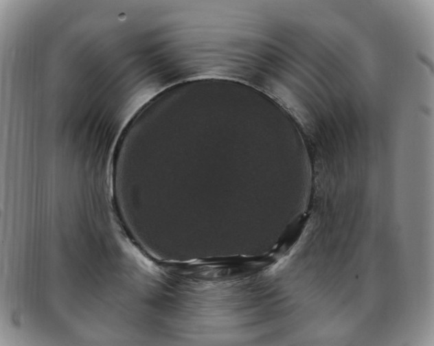 X0000097790892200803141826