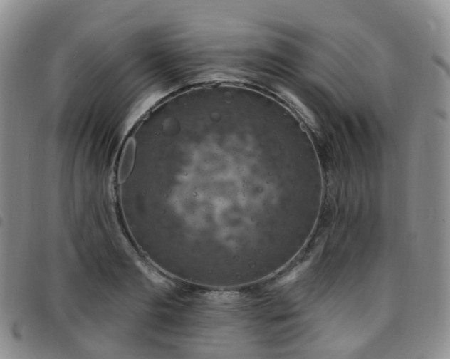 X0000097790893200803141826