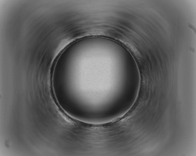 X0000097790894200803141826