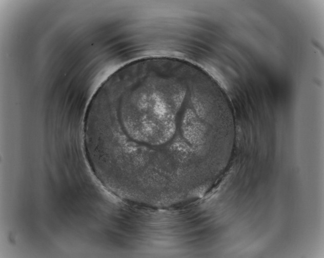 X0000097790895200803141826
