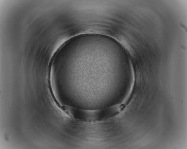 X0000097790896200803141826