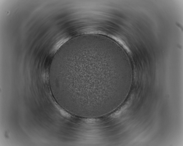 X0000097790897200803141826