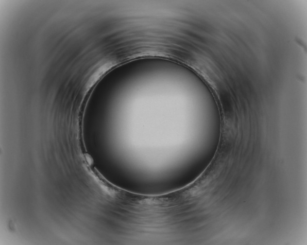 X0000097790898200803141826