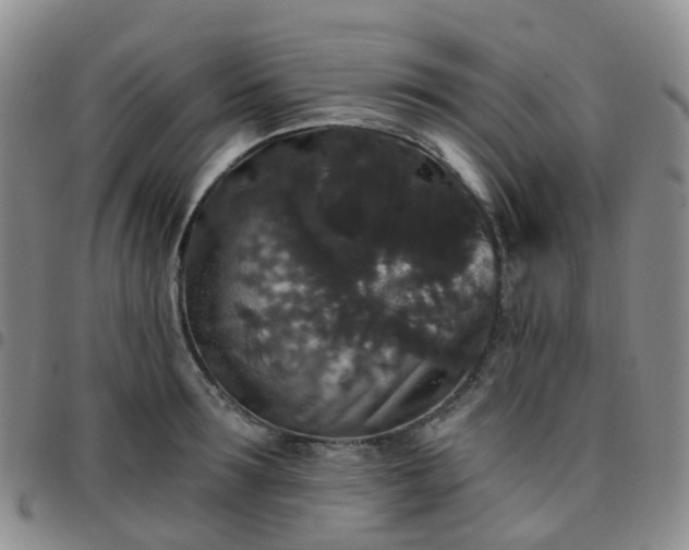 X0000097790899200803141826