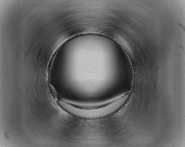 X0000097790900200803141826