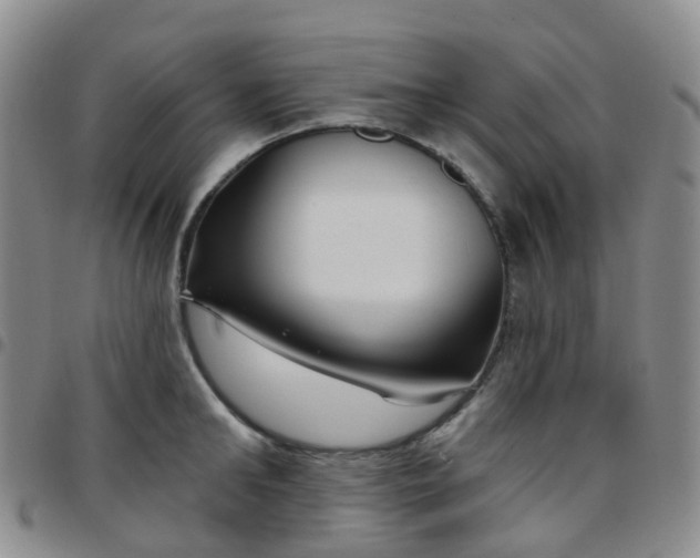 X0000097790902200803141826