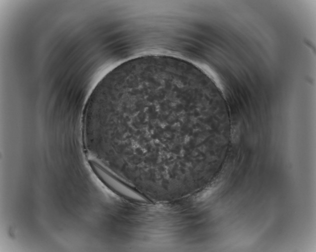 X0000097790903200803141826