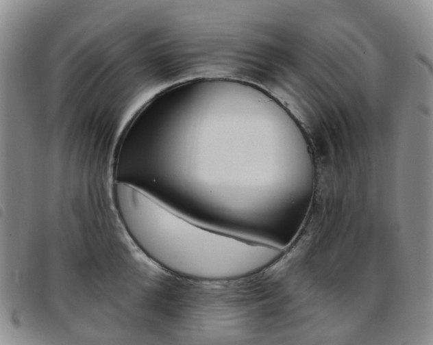X0000097790904200803141826