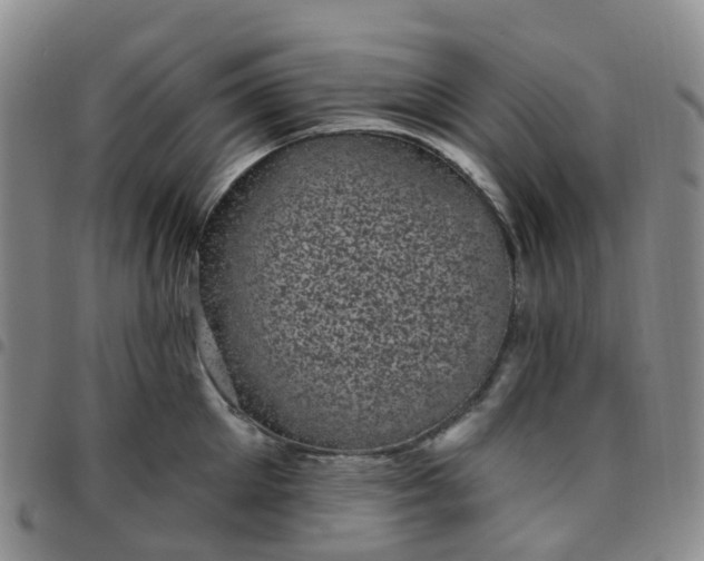 X0000097790905200803141826