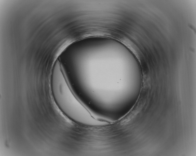 X0000097790906200803141826