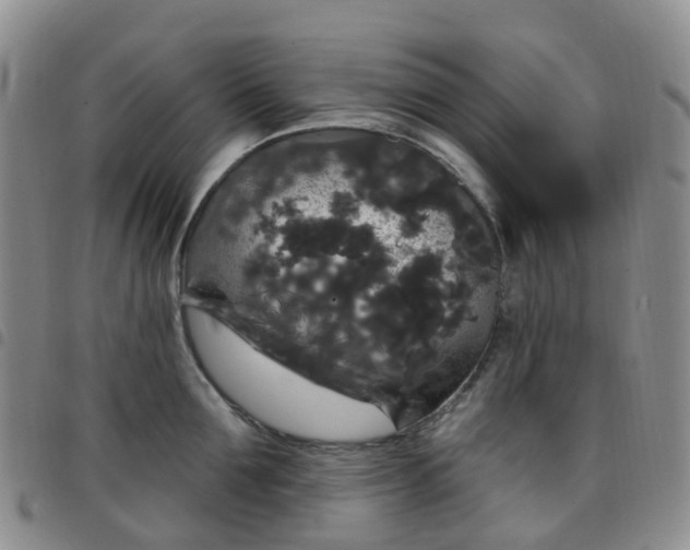 X0000097790907200803141826