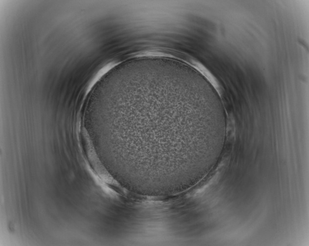 X0000097790909200803141826