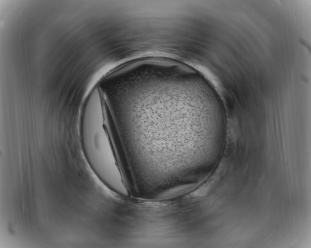 X0000097790910200803141826