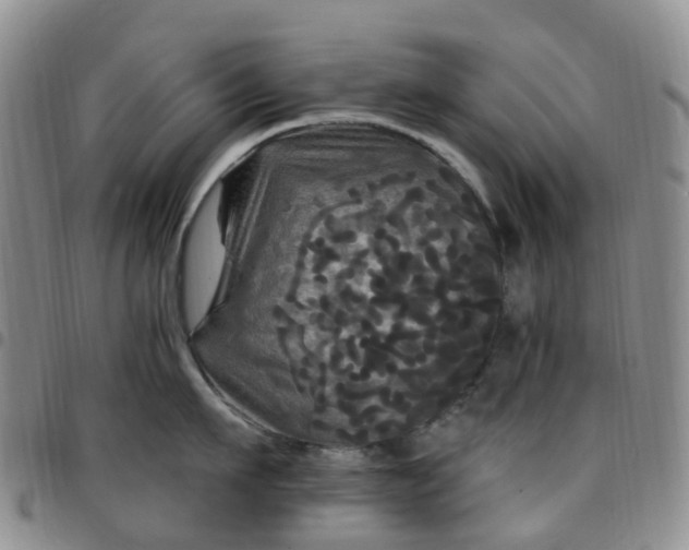 X0000097790911200803141826