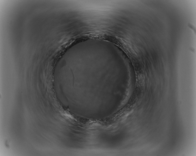 X0000097790913200803141825