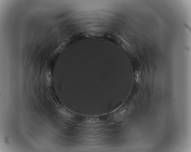 X0000097790915200803141825