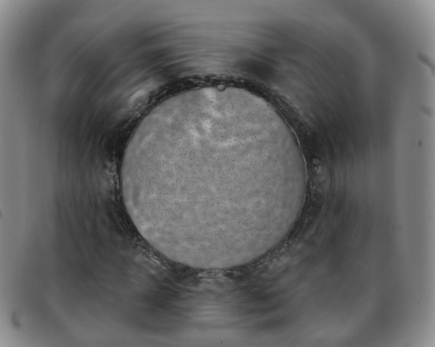 X0000097790918200803141825