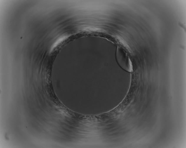 X0000097790919200803141825