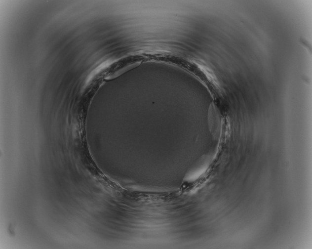 X0000097790920200803141825