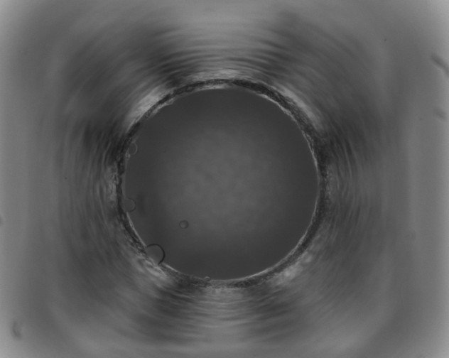 X0000097790921200803141825