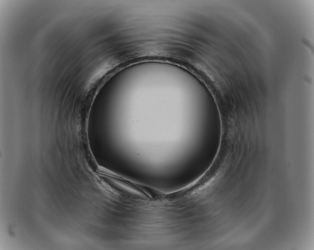 X0000097790922200803141825