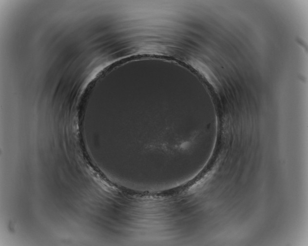 X0000097790923200803141825