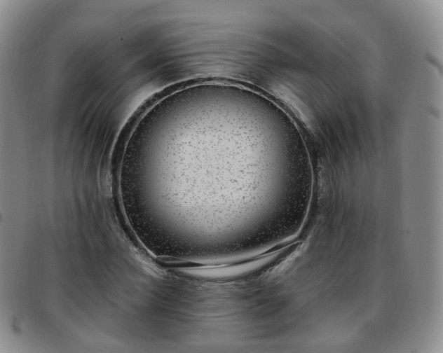 X0000097790924200803141825