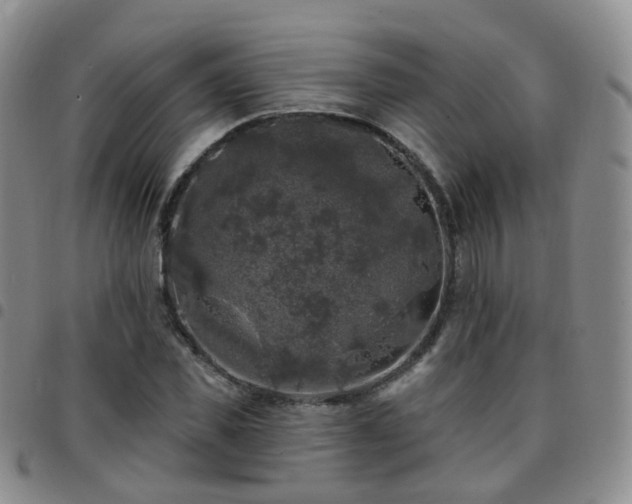 X0000097790925200803141826
