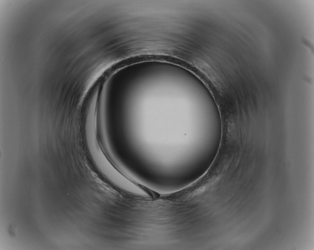 X0000097790926200803141826