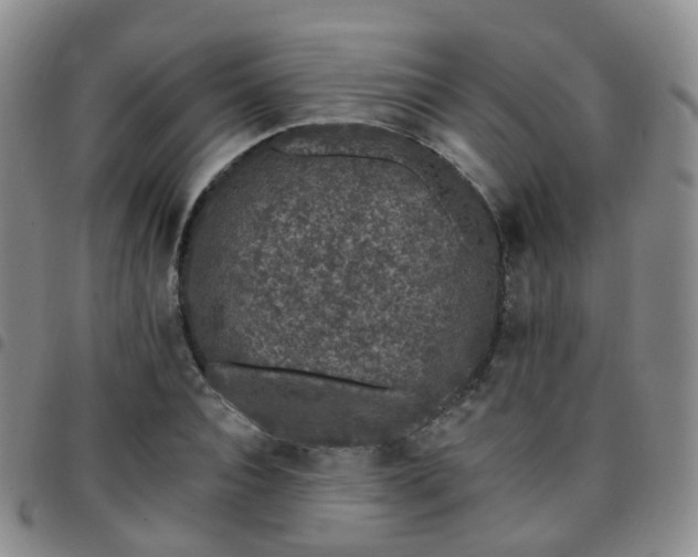 X0000097790928200803141826
