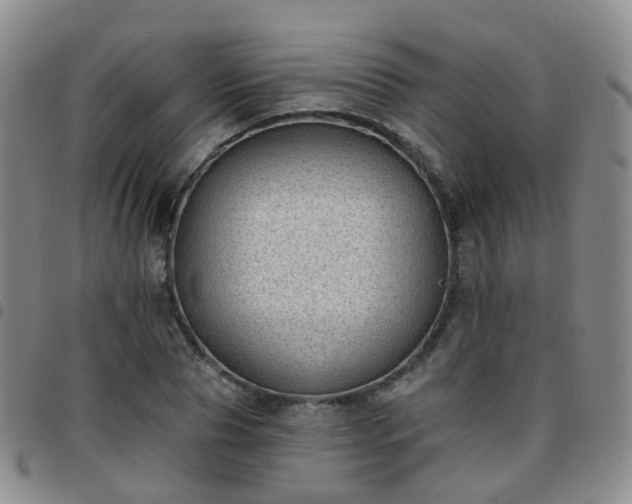 X0000097790929200803141826